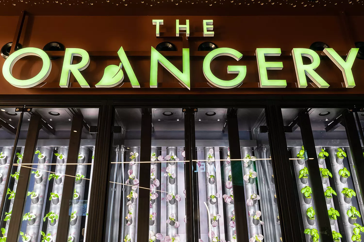 Vertical farm with plants growing inside