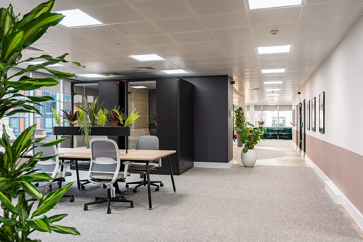 Open plan space with a desk in the middle. Plants are integrated throughout the space, which also includes 2 phone booth style meeting pods.