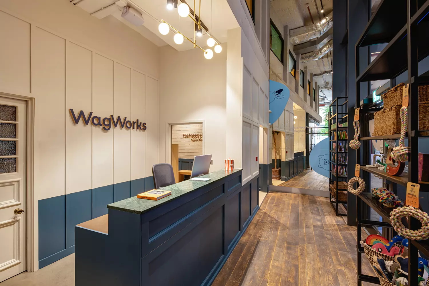Stylish reception area with a deep blue front desk topped with a green marble-style surface. Vertical wall panelling in white and blue creates a clean, contemporary look. Warm pendant lighting with globe bulbs hangs above the desk, and the space opens into a corridor with timber flooring and shelving displaying dog accessories, giving a boutique feel.