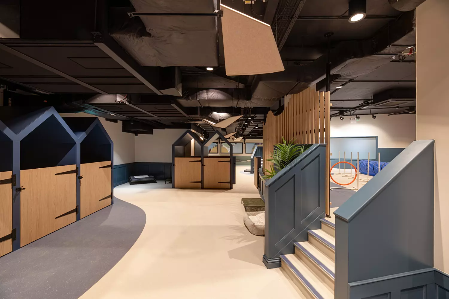 Spacious dog lounge designed with curved flooring in soft blue and cream tones for a playful, flowing effect. Built-in cushioned seating lines one wall, while kennel-style structures with pitched roofs in blue and wood tones provide private spaces. Exposed black ceiling ducts add an industrial edge, complemented by accent panels and integrated lighting.