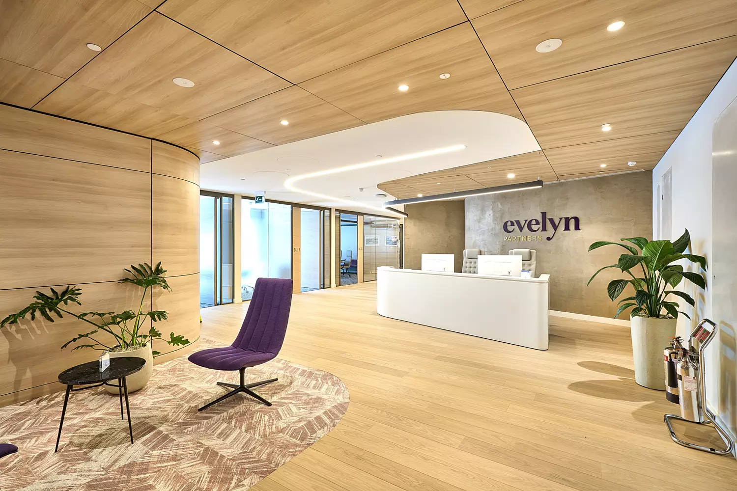 Modern office reception with a minimalist design featuring light wood flooring and curved timber wall panels. The ceiling has matching timber finishes with recessed lighting and integrated acoustic panels. A sleek white reception desk sits against a textured wall with the Evelyn Partners logo. The space includes contemporary furniture such as a purple lounge chair, a patterned rug, and indoor plants for a natural touch. Glass partitions in the background lead to meeting rooms, allowing natural light to flow through