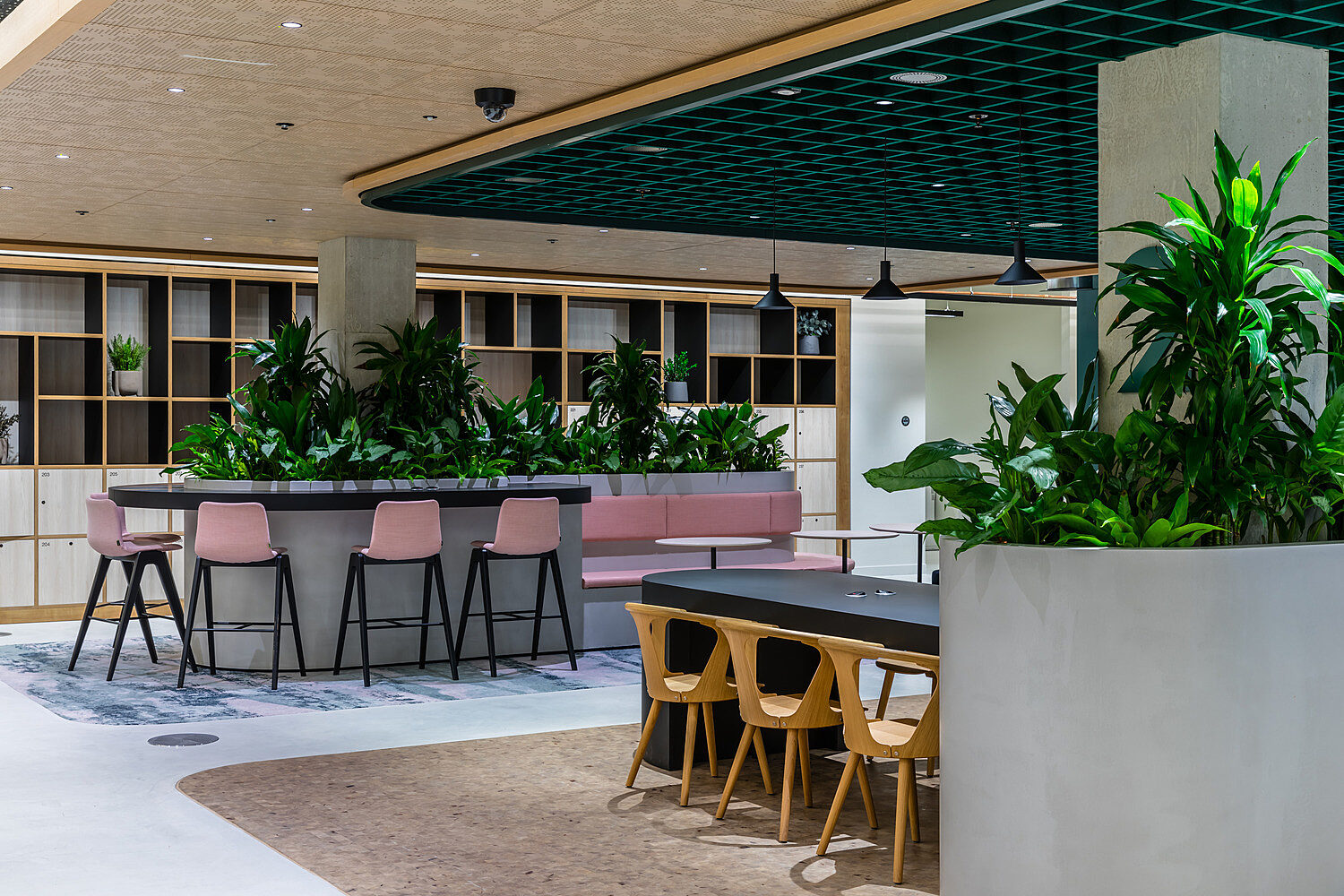 A spacious open plan office area with a central bar-style counter, pink bar stools, plenty of green plants, a long table with wooden chairs and built in shelves along the back wall
