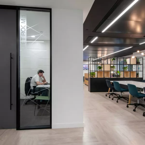 Private working space and collaborative zones