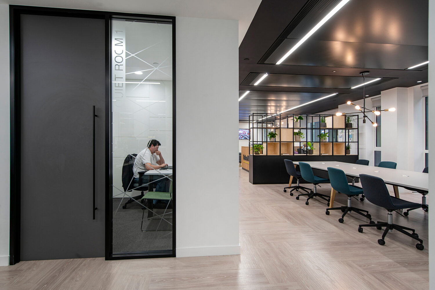 Private working space and collaborative zones