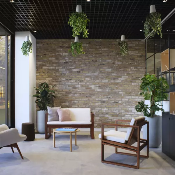 Bottomline Interior Office Design With Biophilia Elements