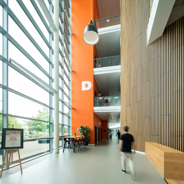 Bespoke timber beading softens the space next to the bright wayfinding colours associated with Campus brand