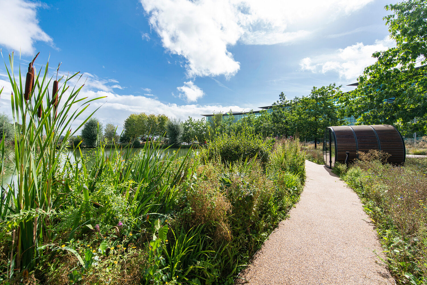 An external working pod seamlessly blends with the wild garden space at Campus