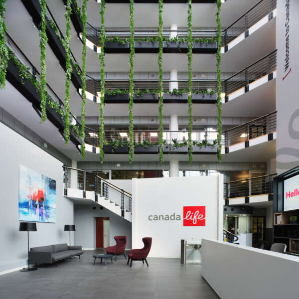 Biophilia softens the atrium bringing the outside in