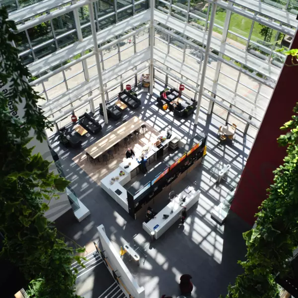 Natural light fills the atrium