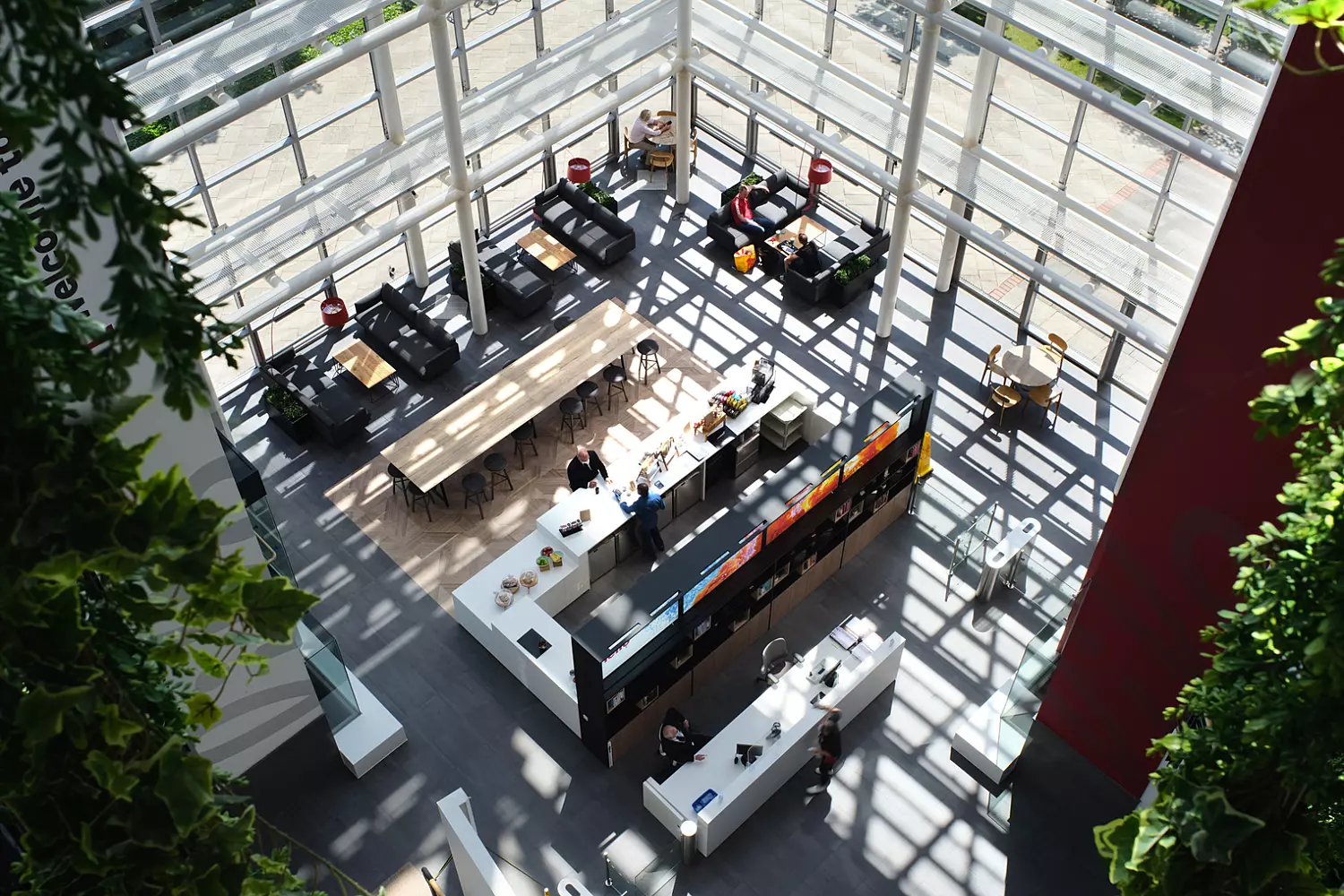 Natural light fills the atrium