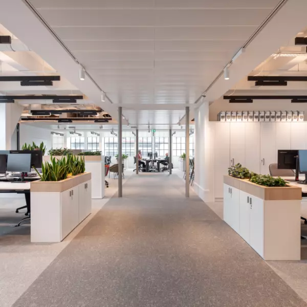 A modern open plan office featuring symmetrical rows of workstations flanking a central walkway. Each desk is equipped with a computer and an ergonomic chair. Large windows allow natural light to fill the space, supported by ceiling-mounted lighting. Low cabinets topped with green plants divide the walkway from the work areas, adding a natural touch to the clean, structured layout. The design promotes functionality and a calm working environment.