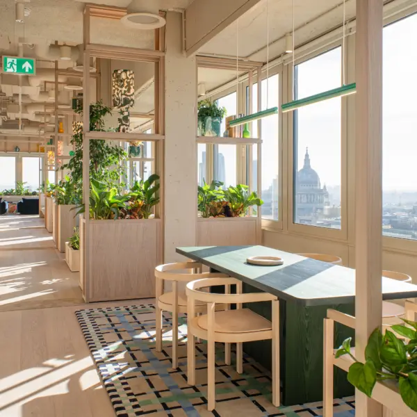 Sunlit office corridor with a meeting booth positioned beside floor-to-ceiling windows overlooking the London skyline, including a distant view of St Paul's Cathedral. The booth features a green table, light wood chairs and a patterned rug, framed by open timber shelving filled with plants. Planters line the walkway, creating a biophilic environment throughout the space. Natural light casts long shadows across the pale timber flooring, while exposed ceilings and light wood finishes contribute to the contemporary workplace design.