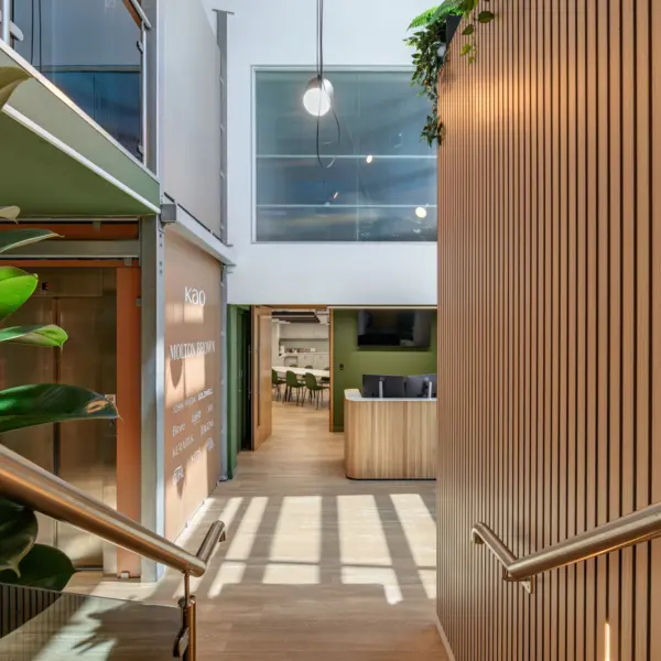A bright interior space with a timber‑clad stairwell leading down to an open area with light wood flooring. Sunlight creates strong patterns on the floor from a large window above. On the left, a green feature wall displays text beside a row of large indoor plants and a glass balustrade on the upper level. Ahead, the space opens into a reception area with a light wood desk, green wall accents and a view through to a seating and meeting area.
