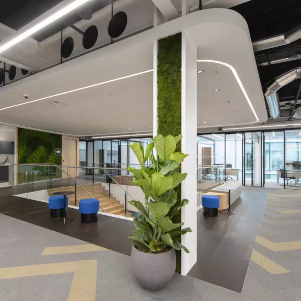 Biophilia intertwined with modern interior design