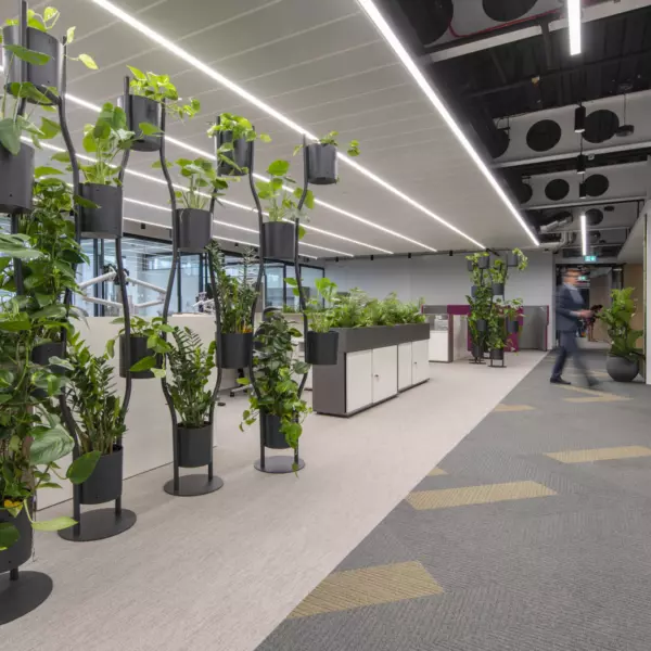 Planters that soften walkways