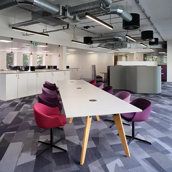 Countryside open plan office design