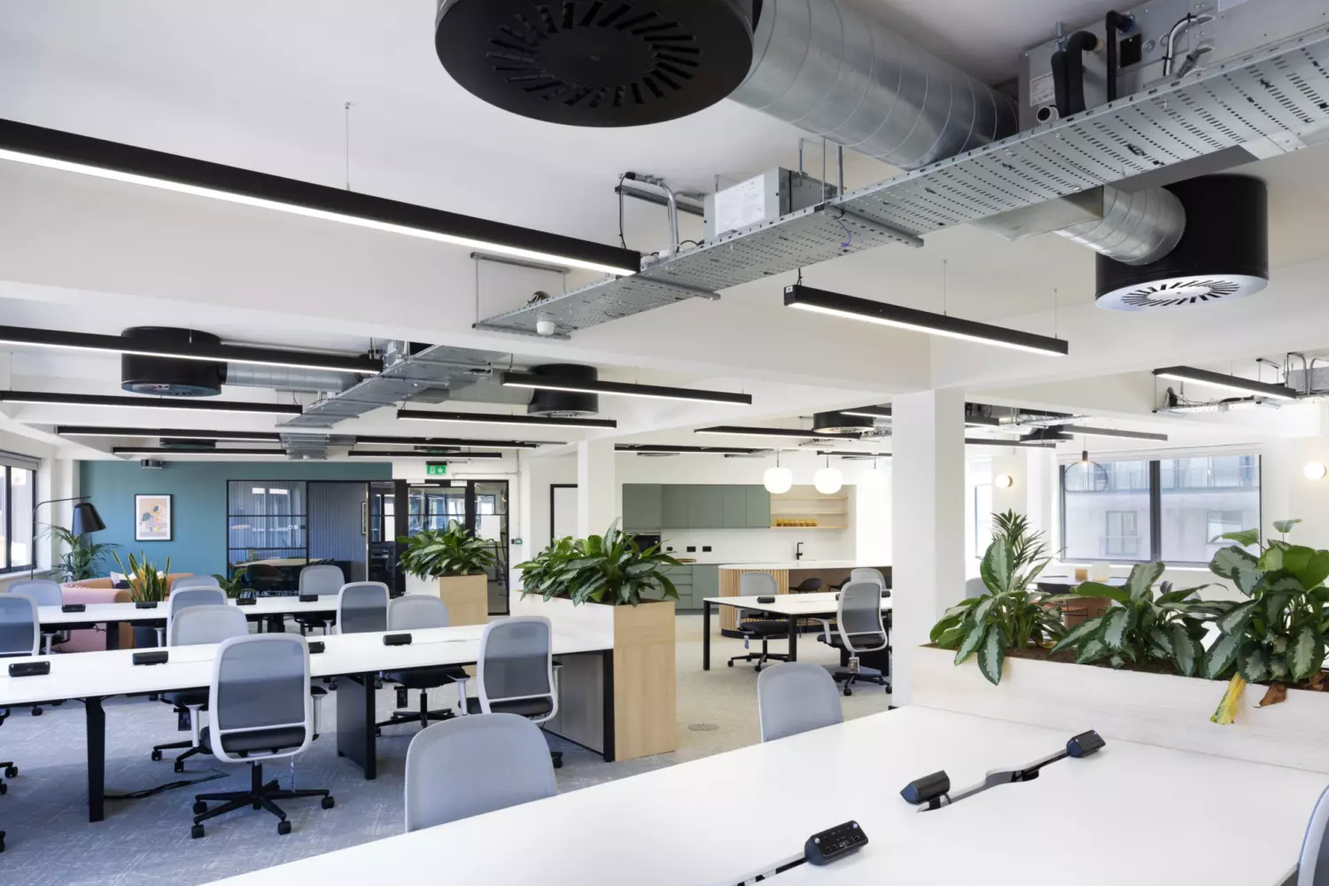 A modern open-plan office space with multiple workstations, ergonomic chairs and large desks. Various plants are placed around the room, adding greenery. Overhead ducts and lighting fixtures are visible on the ceiling. In the background, there is a kitchenette area with cabinets and appliances as well as additional seating areas. The design is clean and contemporary, with an emphasis on natural light and greenery to create a pleasant working environment.