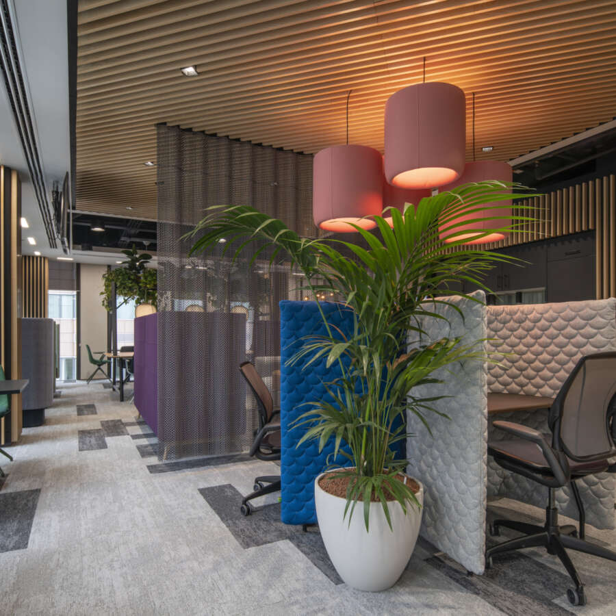 Biophilic flexible office space for R3