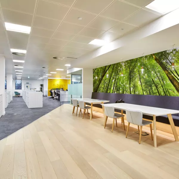 Touchdown area for Smith Nephew