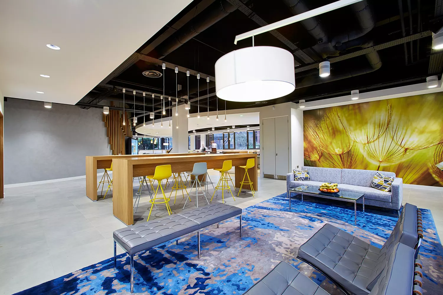 Smith Nephew office space