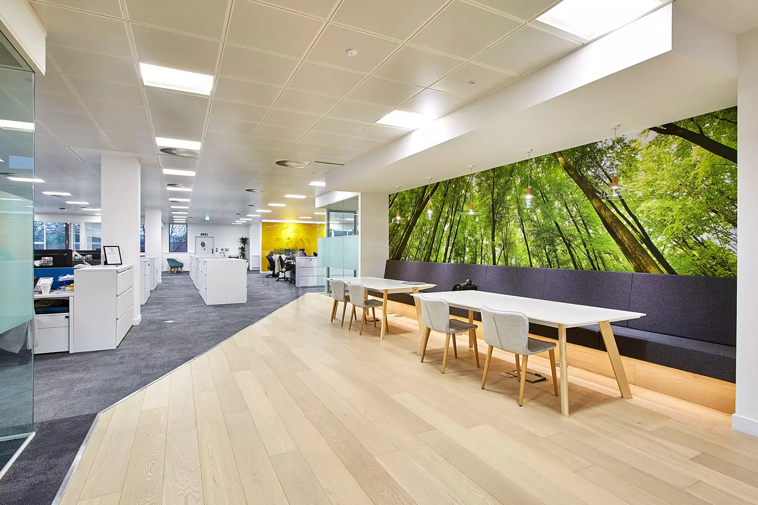 Touchdown area for Smith Nephew