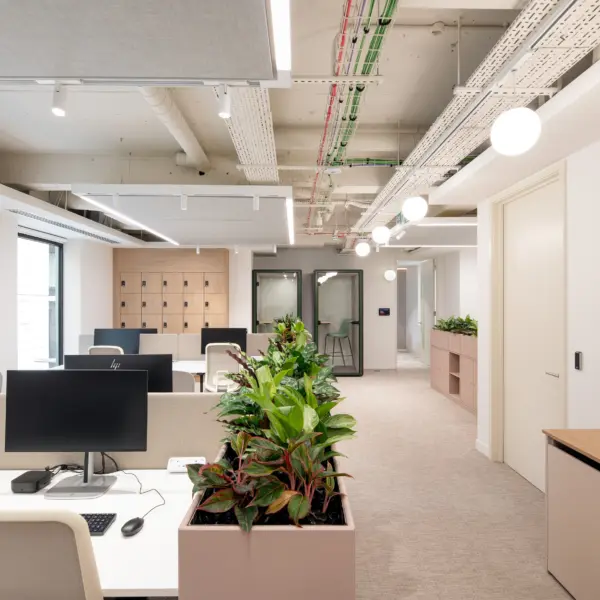 Open-plan office workspace with bench-style desks, ergonomic task chairs and computer monitors arranged in clusters. Integrated planters filled with lush greenery divide the workstations, while large windows provide abundant natural light and views of neighbouring buildings. Suspended acoustic ceiling panels, globe pendant lights and exposed building services create a bright, contemporary workplace designed for focused work and collaboration.