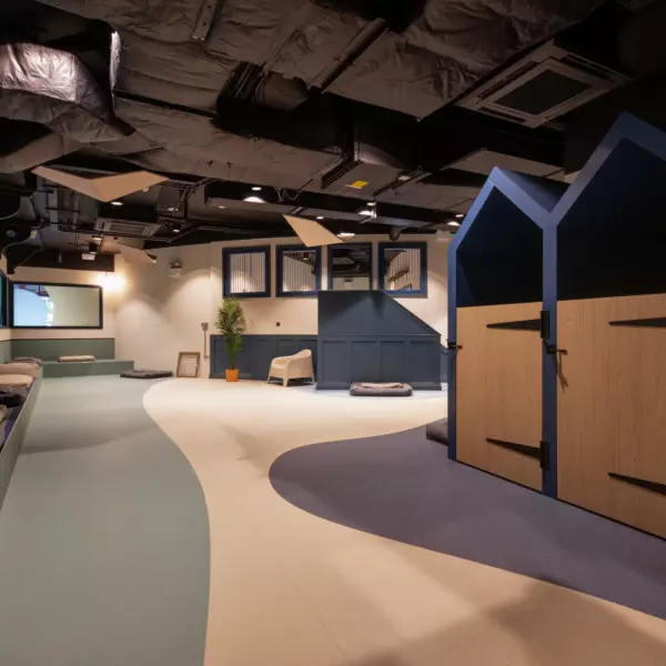 Spacious dog lounge designed with curved flooring in soft blue and cream tones for a playful, flowing effect. Built-in cushioned seating lines one wall, while kennel-style structures with pitched roofs in blue and wood tones provide private spaces. Exposed black ceiling ducts add an industrial edge, complemented by accent panels and integrated lighting.