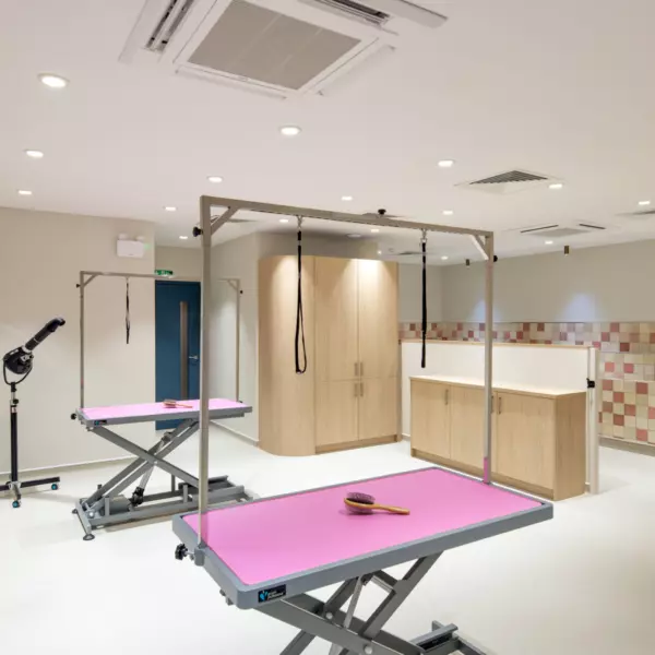 Modern dog grooming room featuring two adjustable grooming tables with bright pink tops and integrated restraint frames. The space has a neutral colour palette with light beige walls, recessed ceiling lights, and wood-effect cabinetry for storage. A patterned tile splashback adds subtle texture, while the layout prioritises functionality and easy movement.