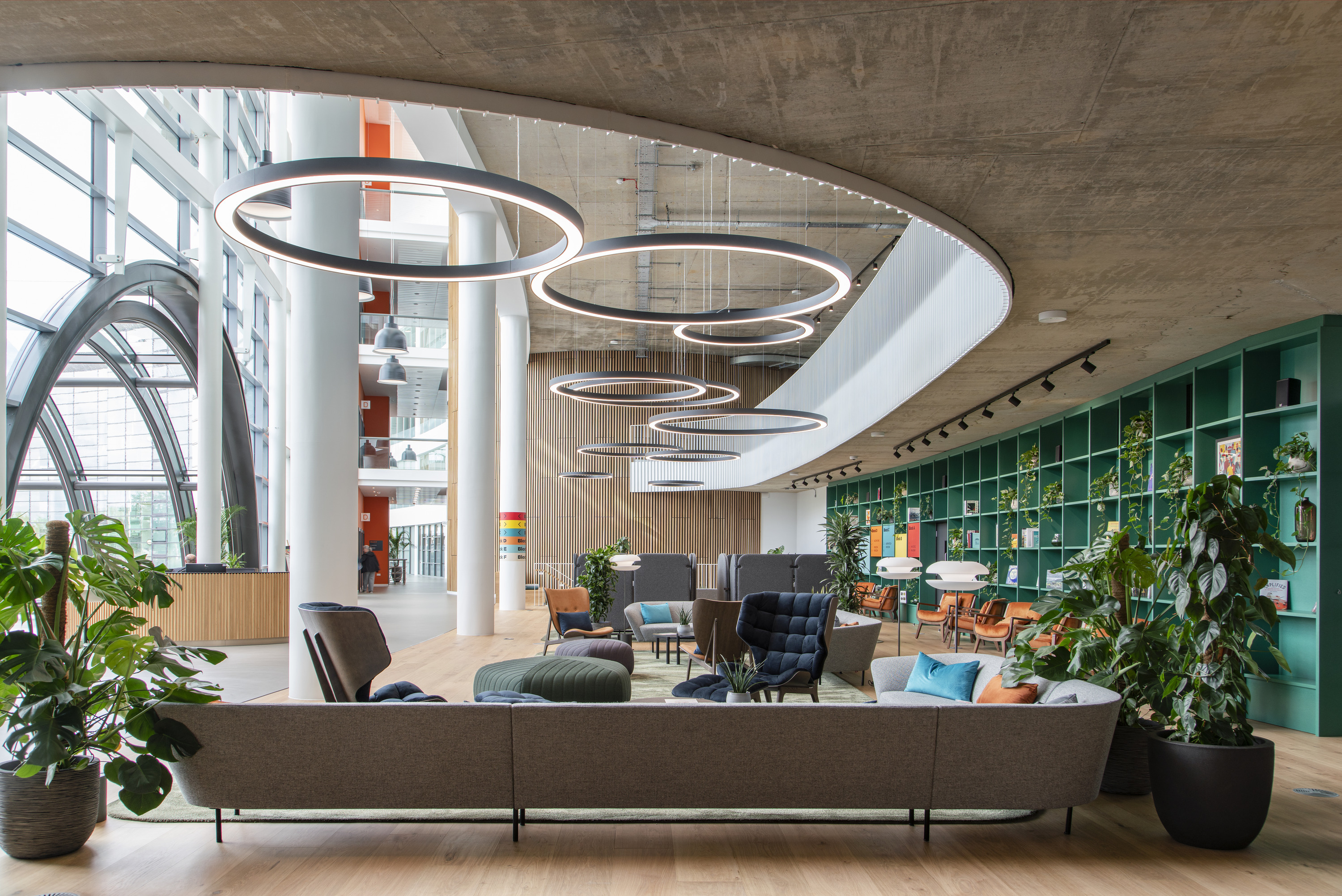 A modern office breakout area with circular overhead lighting, stylish seating, and vibrant greenery set against expansive windows and a teal bookcase
