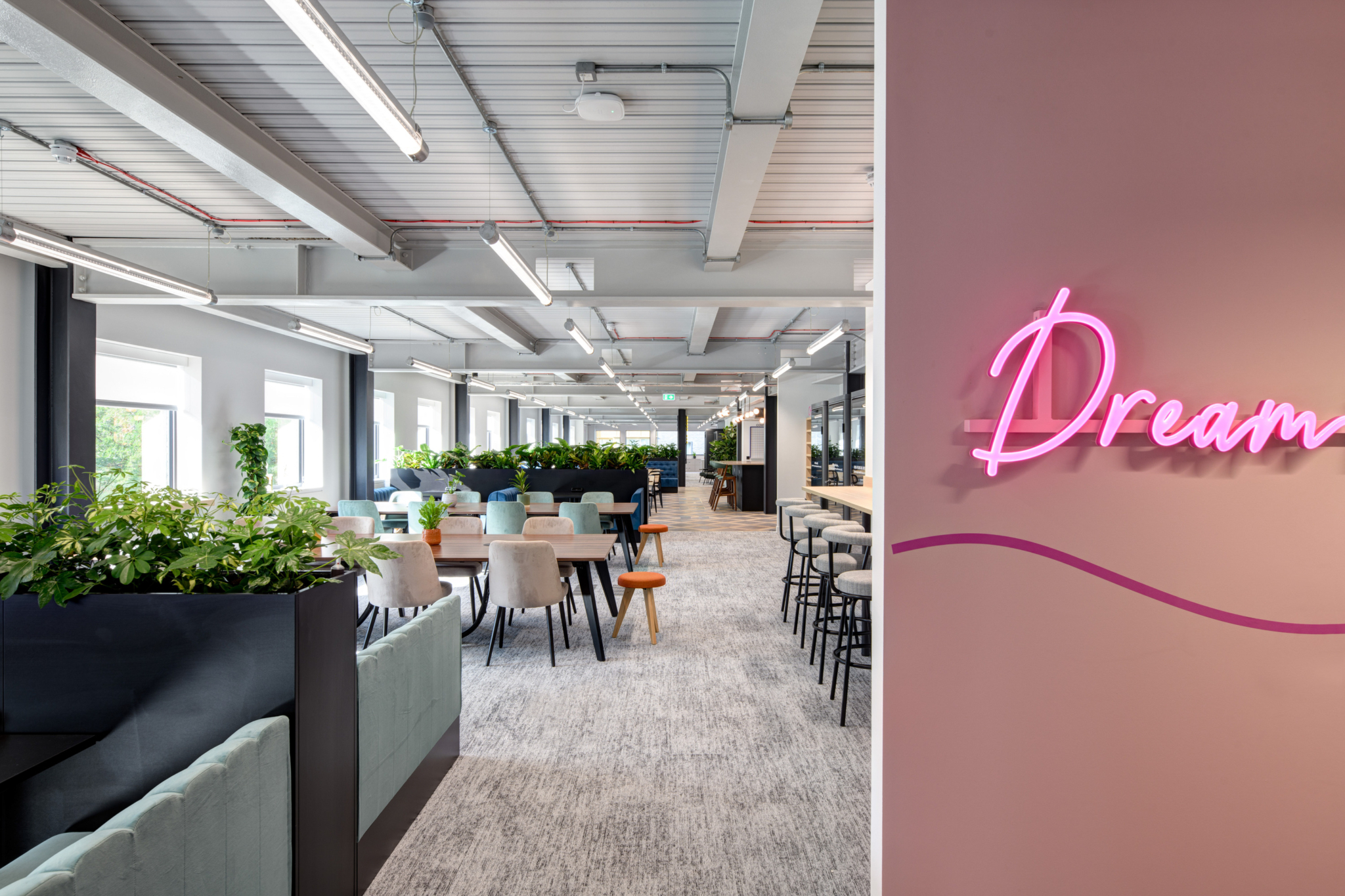 Pastel tones in New Looks new office