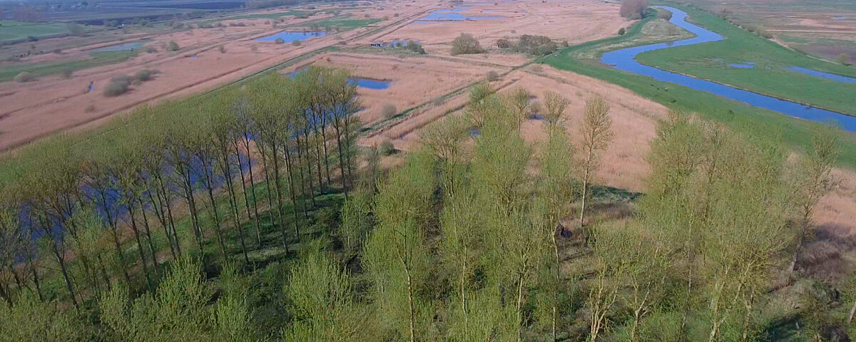 An aerial view of a meandering river flowing through a landscape of trees, and grasslands, under a clear sky
