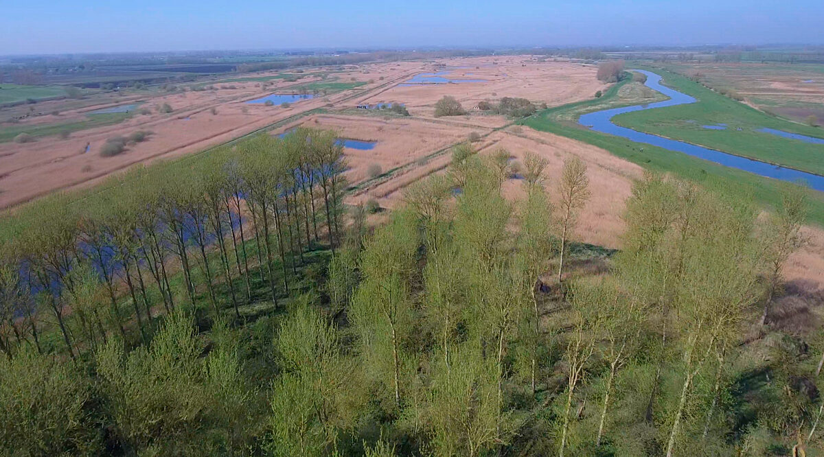 An aerial view of a meandering river flowing through a landscape of trees, and grasslands, under a clear sky