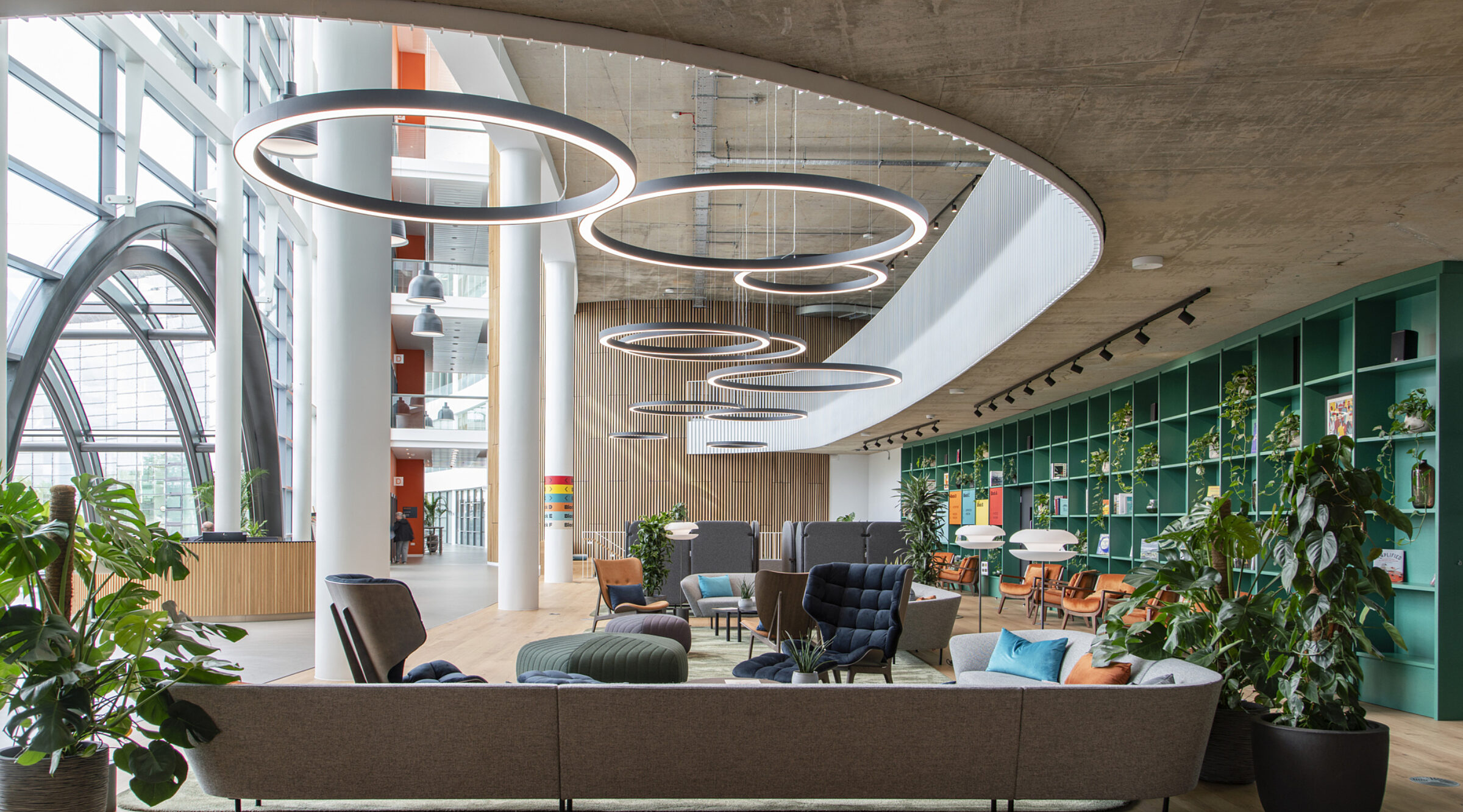 A modern office breakout area with circular overhead lighting, stylish seating, and vibrant greenery set against expansive windows and a teal bookcase