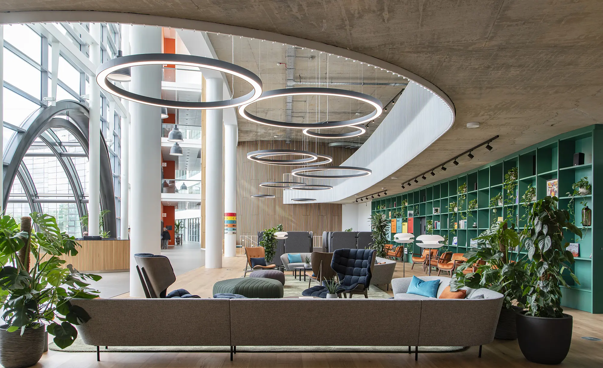 A modern office breakout area with circular overhead lighting, stylish seating, and vibrant greenery set against expansive windows and a teal bookcase