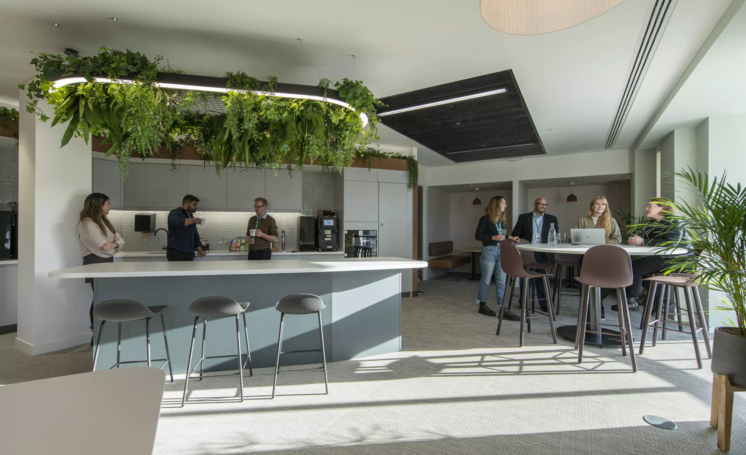 Biophilia in Kao's kitchen and teapoint