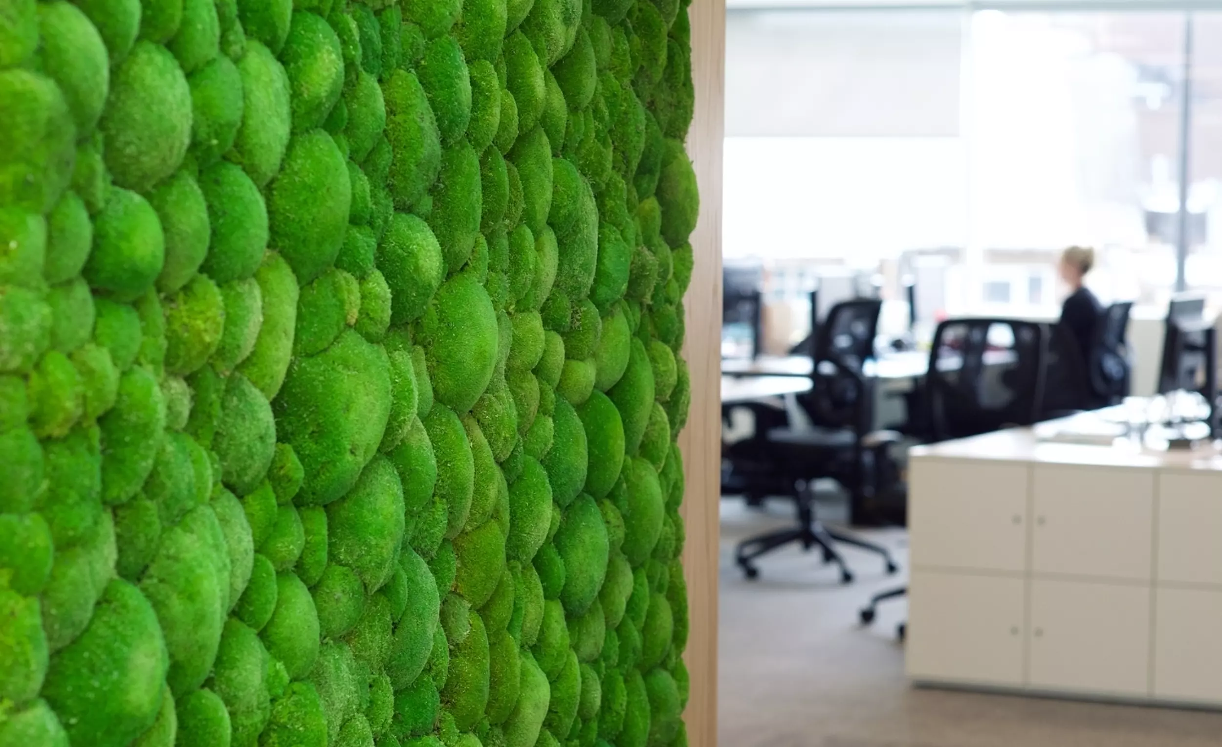 Biophilic office design for wellbeing