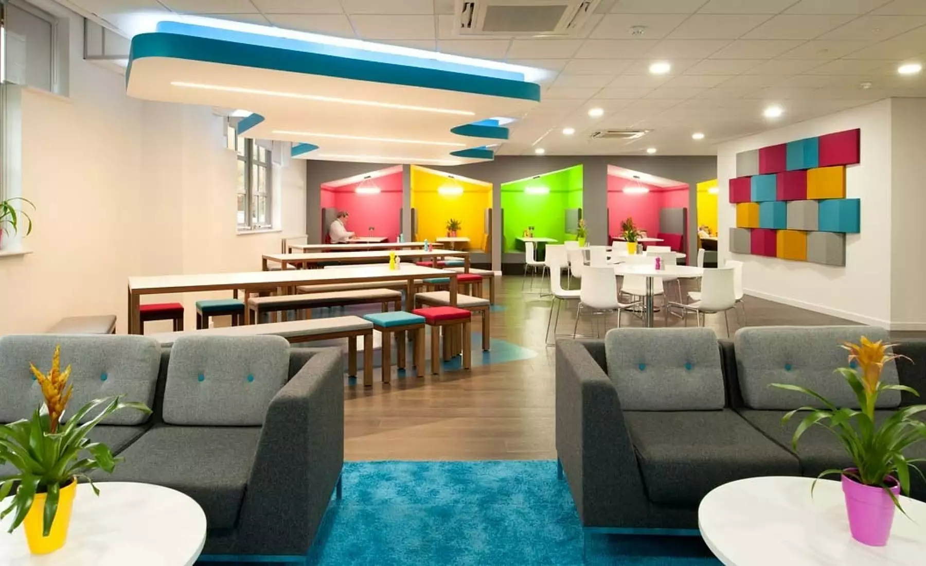 Office designed for workplace wellbeing
