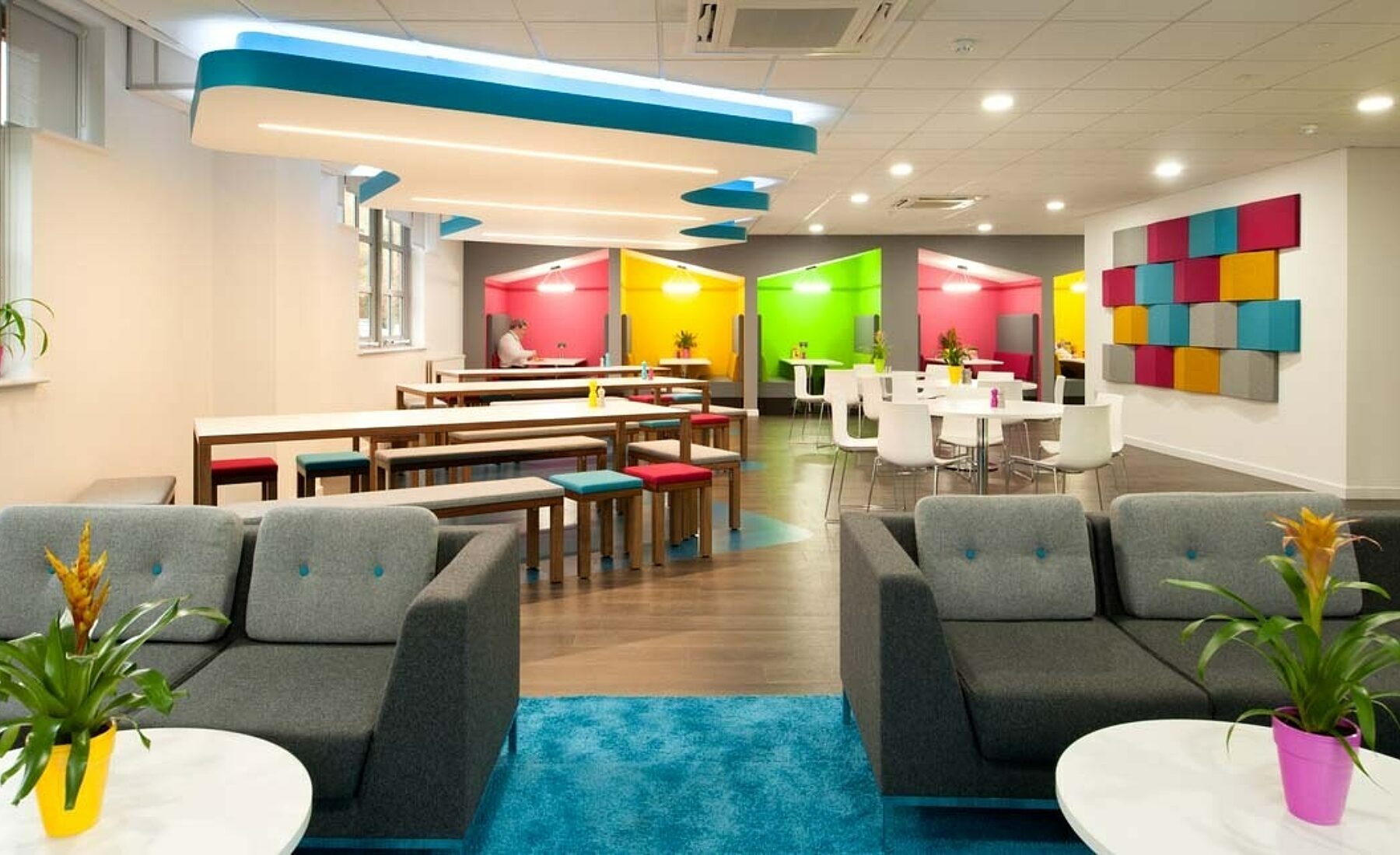 Office designed for workplace wellbeing