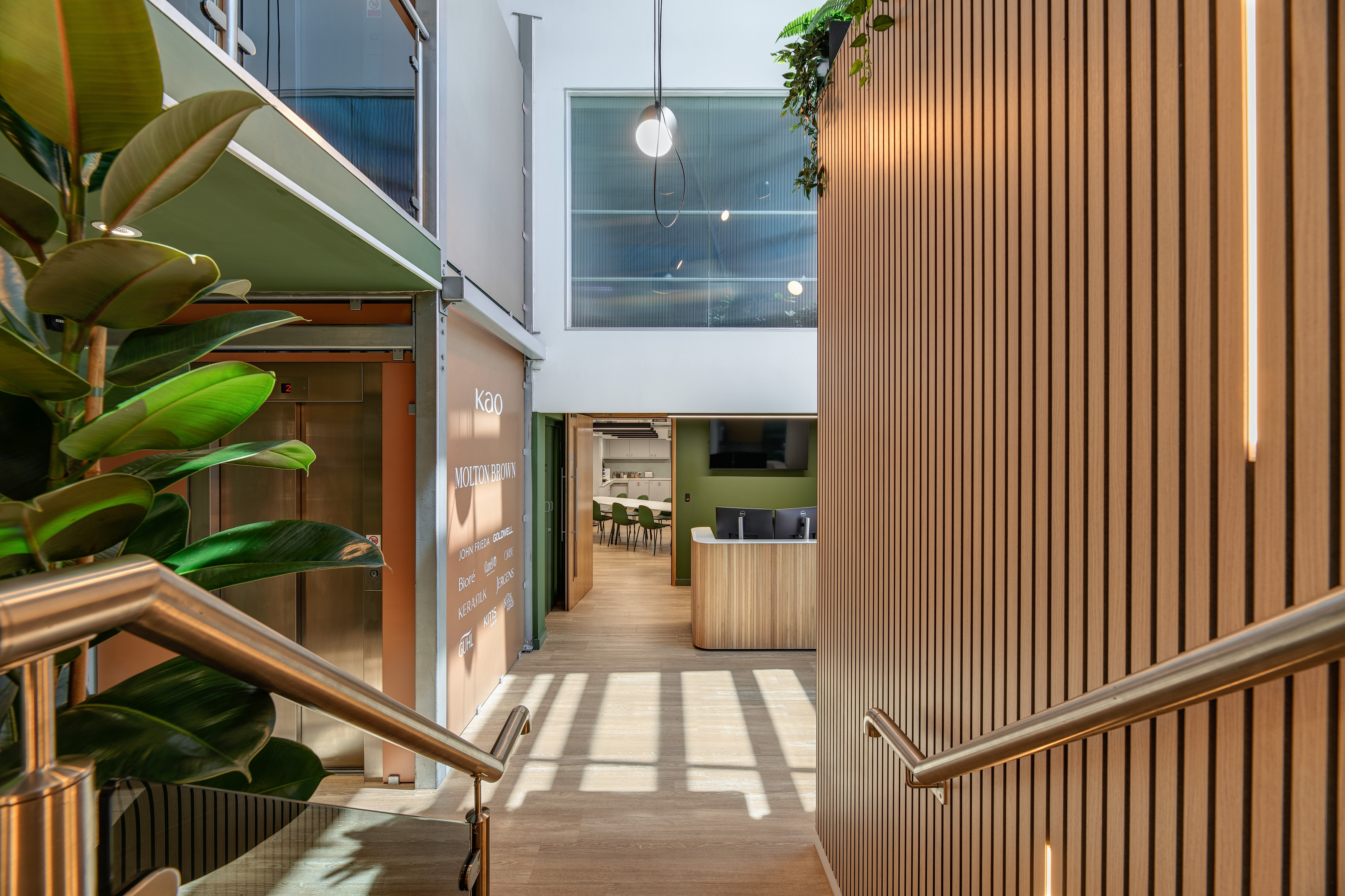 A bright interior space with a timber‑clad stairwell leading down to an open area with light wood flooring. Sunlight creates strong patterns on the floor from a large window above. On the left, a green feature wall displays text beside a row of large indoor plants and a glass balustrade on the upper level. Ahead, the space opens into a reception area with a light wood desk, green wall accents and a view through to a seating and meeting area.