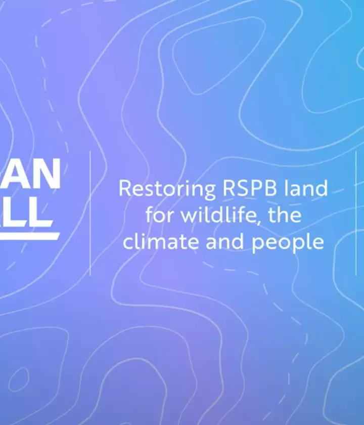 Morgan Sindall Group RSPB Lakenheath