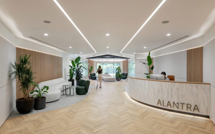 Biophilic curved reception at Alantra