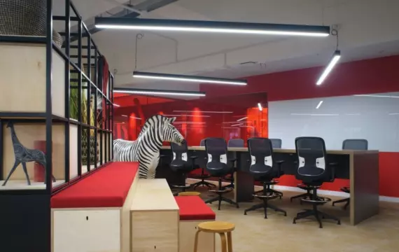 Virgin's zebra in agile office design