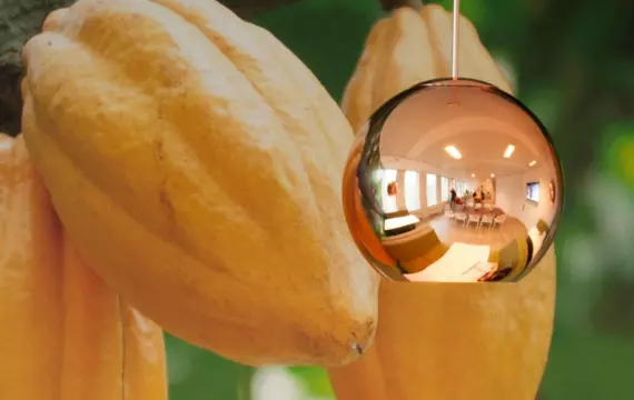 Morgan Lovell's refurb for Lindt and Sprungli, feature wall print