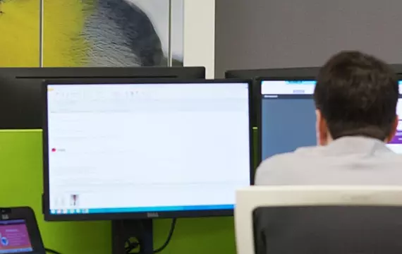 Modern office workspace with vibrant bird mural