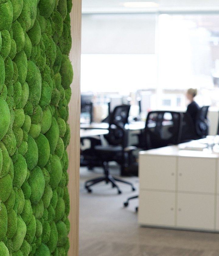 Office design myths