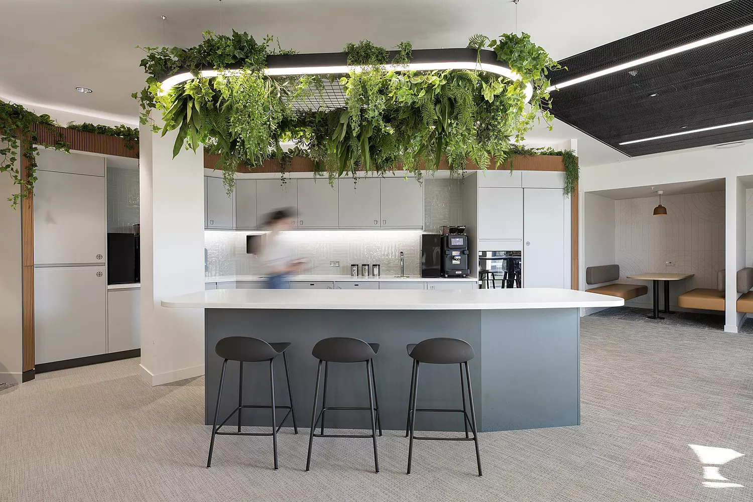 Minimalist kitchen with greenery on overhanging light.