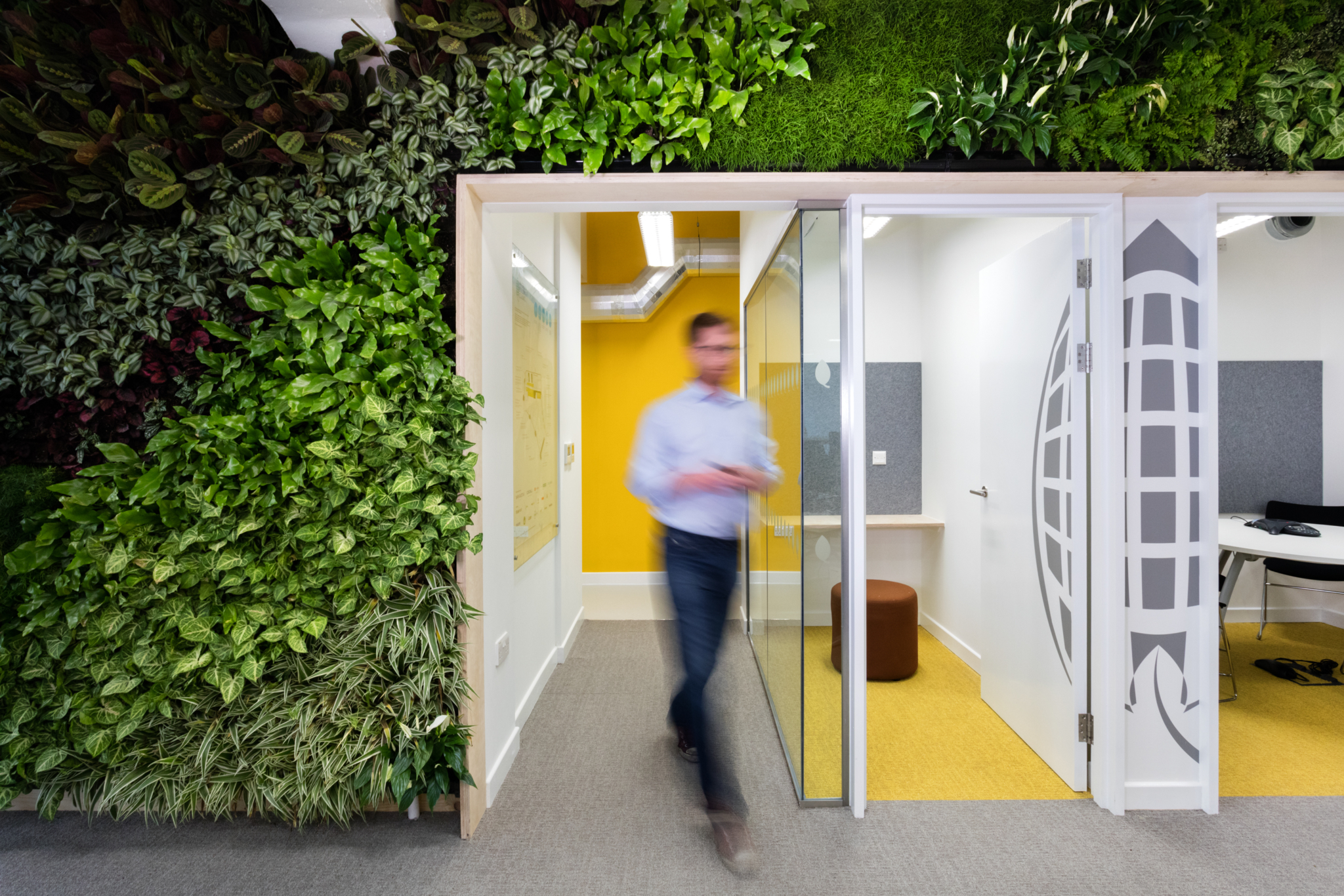 Sustainable office design with biophilia