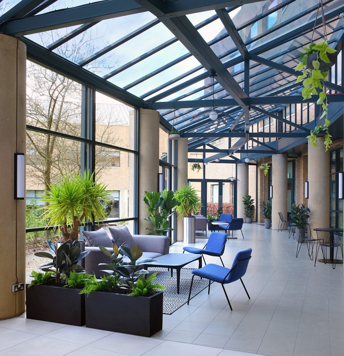 Modern office environment with biophilia
