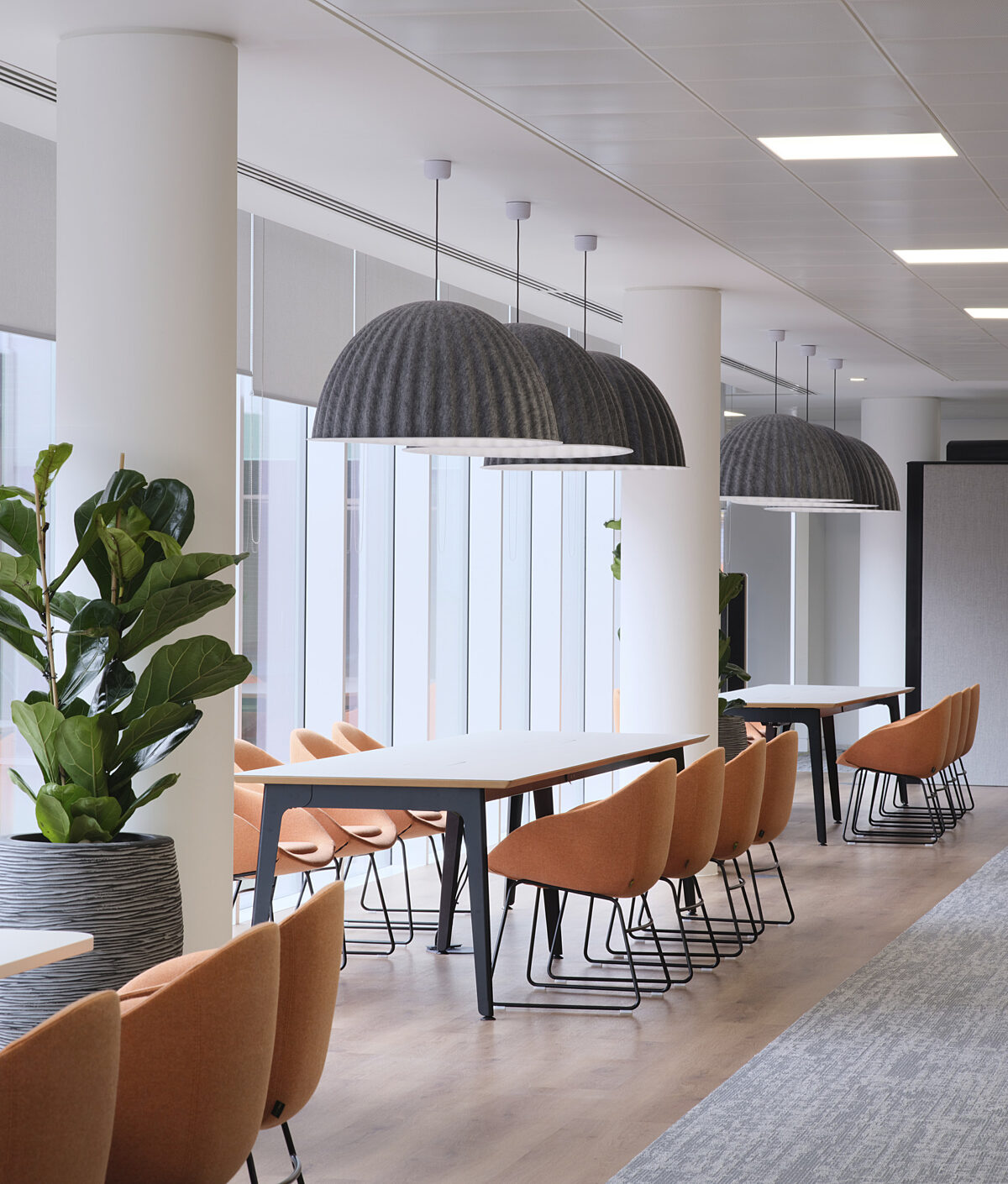 Collaboration spaces in an office, long tables with orange chairs and hanging feature lights