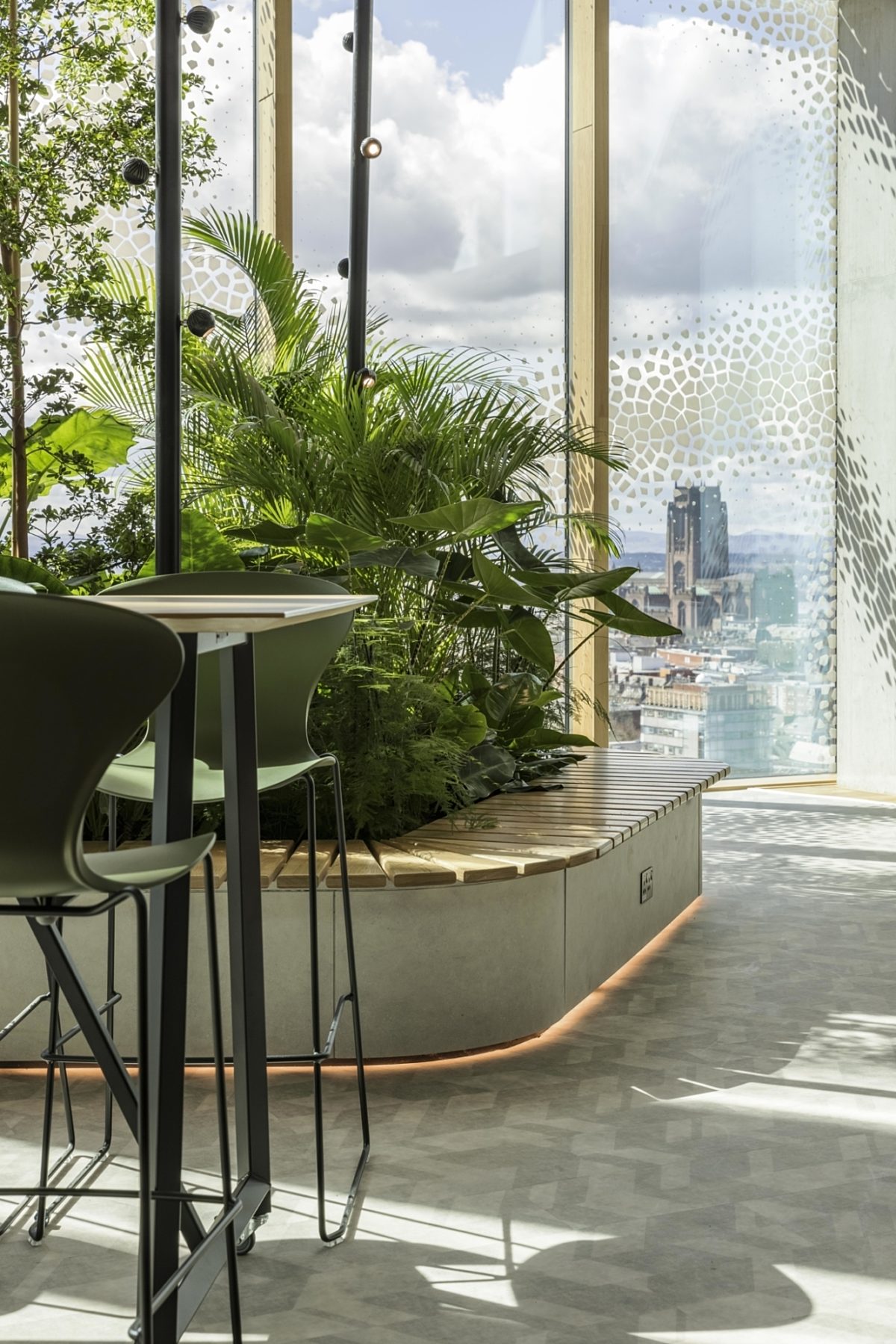 Natural planting enhances office users wellbeing